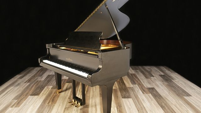 <span>1987</span> Schimmel 175