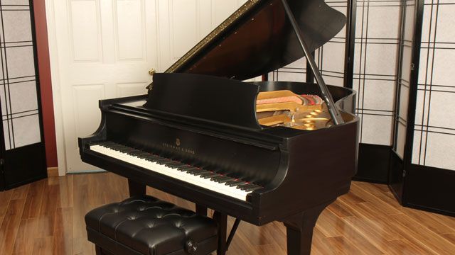 <span>1981</span> Steinway M