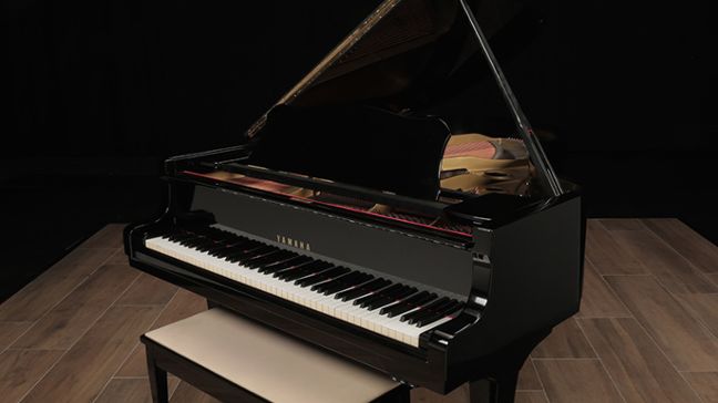 <span>1976</span> Yamaha G3