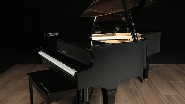 <span>1989</span> Baldwin L