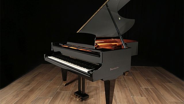 <span>1986</span> Bosendorfer 225