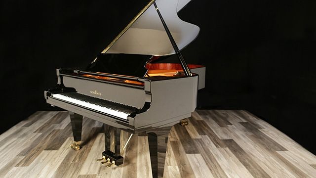 <span>2010</span> Schimmel K-213