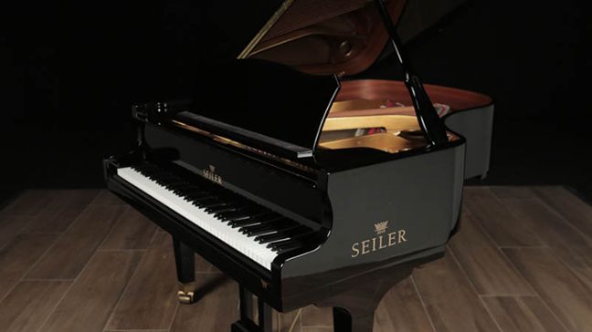 <span>2011</span> Seiler ED-168