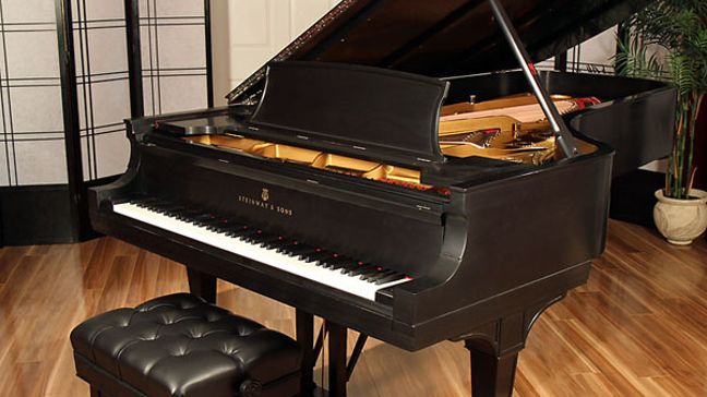 <span>1919</span> Steinway D