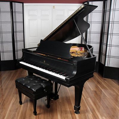Steinway pianos for sale: 1924 Hamburg Steinway O - $40,000