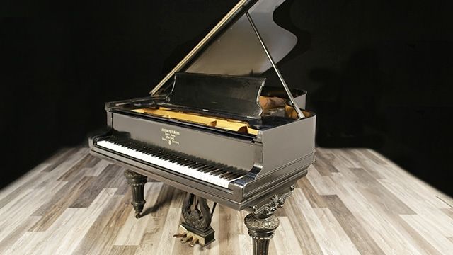 <span>1903</span> Steinway B