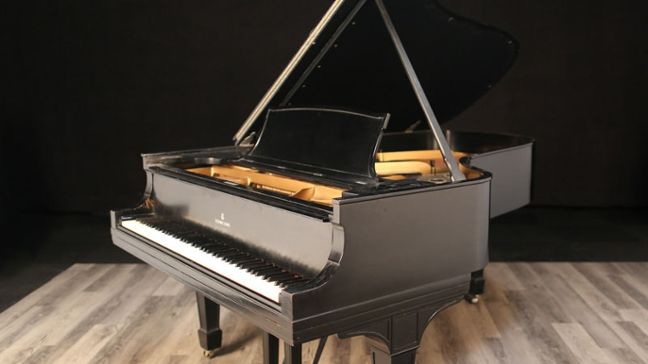 <span>1911</span> Steinway B