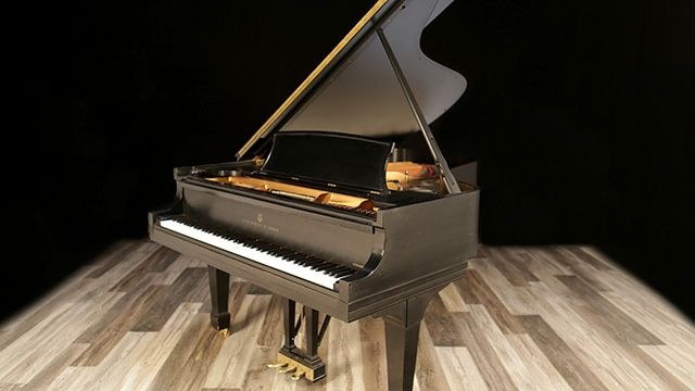 <span>1980</span> Steinway B