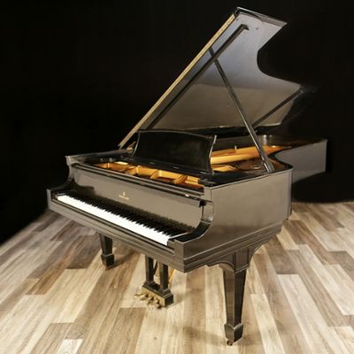 Steinway pianos for sale: 1924 Steinway Grand D - $92,500