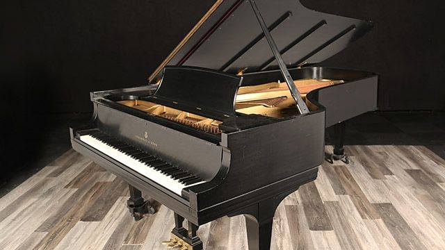 <span>1966</span> Steinway D