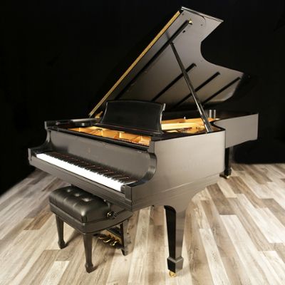 Steinway pianos for sale: 1995 Steinway Grand D - $78,800