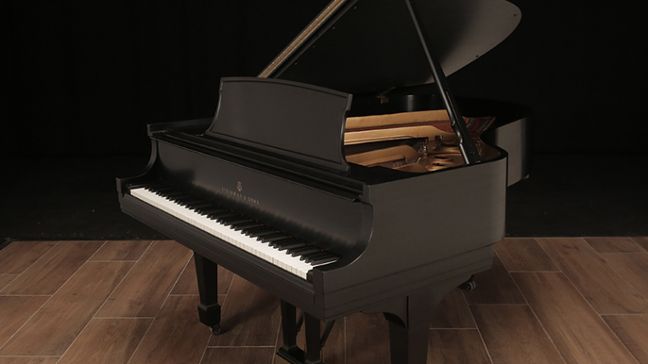 <span>1973</span> Steinway L