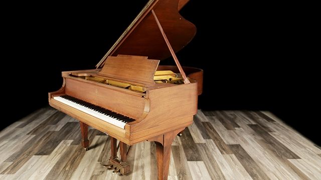 <span>1919</span> Steinway M