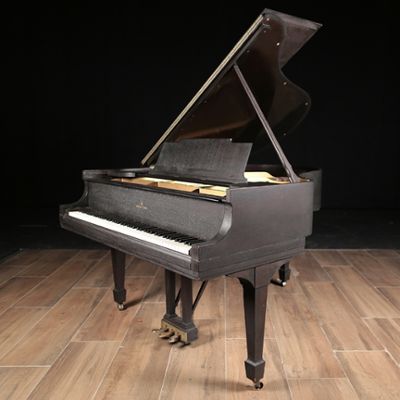 Steinway pianos for sale: 1925 Steinway Grand M - $43,500