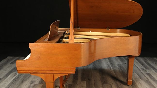 <span>1976</span> Steinway M