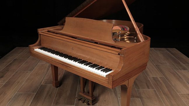 <span>1978</span> Steinway M