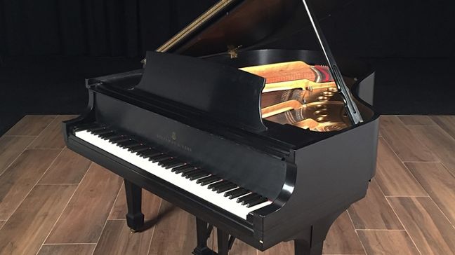 <span>1981</span> Steinway M