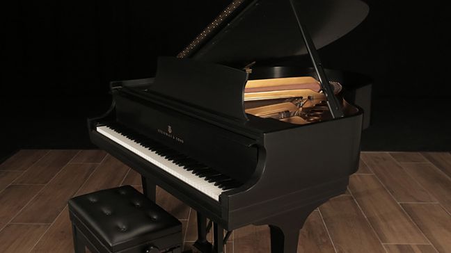 <span>1988</span> Steinway M