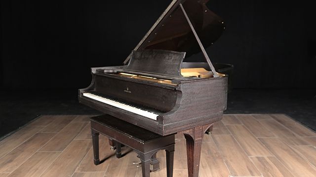 <span>1919</span> Steinway O