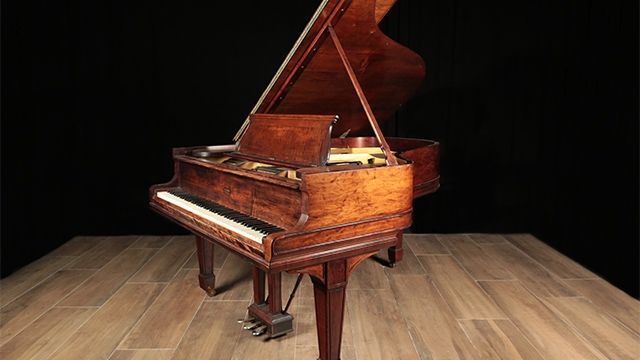 <span>1900</span> Steinway O