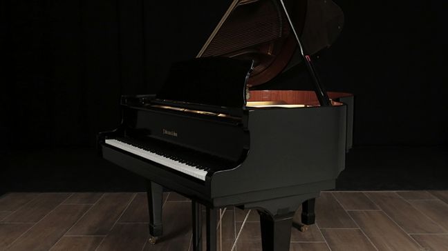 <span>2001</span> Strauss  