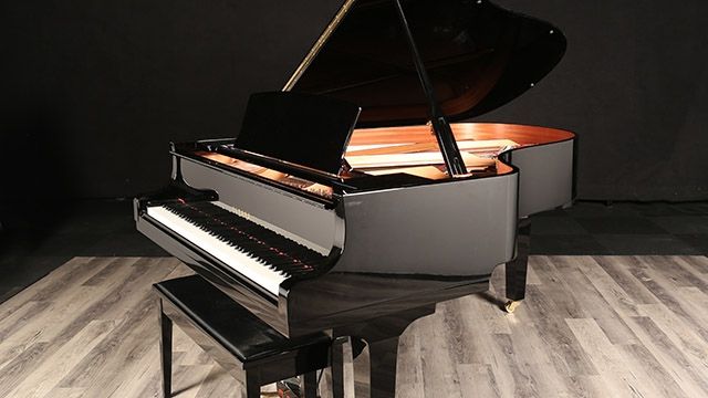 <span>2024</span> Yamaha C5