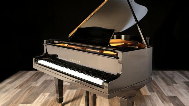 <span>1966</span> Yamaha G2