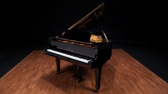 <span>1989</span> Young Chang 