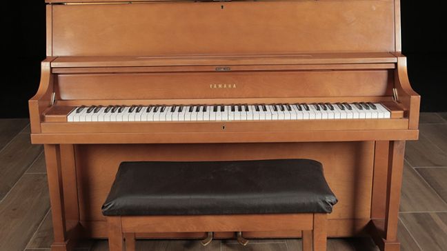 <span>1969</span> Yamaha P22